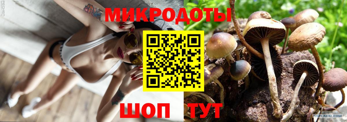 Фурманов  Псилоцибиновые грибы Cubensis  Галлюциногенные грибы Cubensis  Вход с VPN 